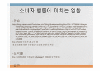 문화가 소비자행동에 미치는 영향 -17