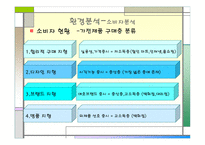 삼성전자의 고품격, 고감각 인테리어 생활 가전 H A U Z E N  STP 분석 -6