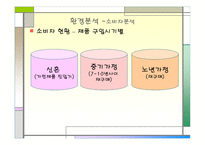 삼성전자의 고품격, 고감각 인테리어 생활 가전 H A U Z E N  STP 분석 -7