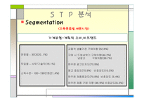 삼성전자의 고품격, 고감각 인테리어 생활 가전 H A U Z E N  STP 분석 -10