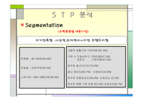 삼성전자의 고품격, 고감각 인테리어 생활 가전 H A U Z E N  STP 분석 -12