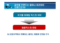 세계화 현지화 패러독스 -9