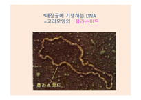 유전공학기술 -2