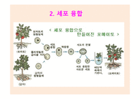 유전공학기술 -4