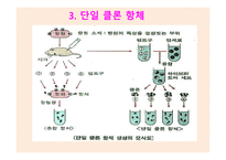 유전공학기술 -5