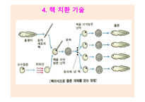 유전공학기술 -6