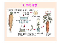 유전공학기술 -7