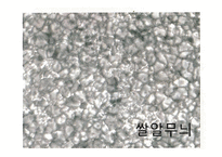 지구와 별 - 지구의 모양, 태양계의 탐사, 태양계의 운동 -11
