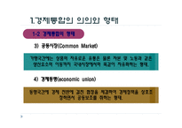 경제통합 - 의의와 형태 -5