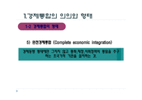 경제통합 - 의의와 형태 -6