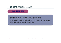 경제통합 - 의의와 형태 -9