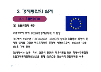 경제통합 - 의의와 형태 -11