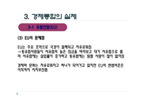 경제통합 - 의의와 형태 -13