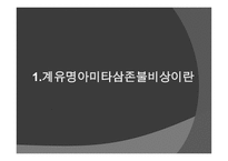 신라 계유명아미타삼존불비상 - 신라의 삼국통일 -3