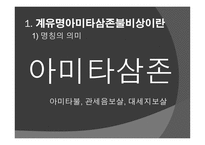 신라 계유명아미타삼존불비상 - 신라의 삼국통일 -6