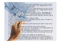 항공법규 - 형공통과 이용권의 배분 등 -20