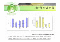 새만금 간척사업 - 해양피해사례 -11