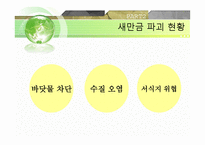 새만금 간척사업 - 해양피해사례 -12
