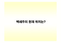 백세주 광고기획서-4