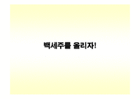 백세주 광고기획서-13