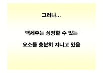 백세주 광고기획서-18