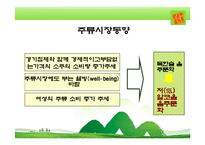 [마케팅전략] 산소주 마케팅-8