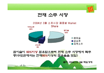 [마케팅전략] 산소주 마케팅-9