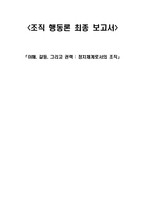 [정치적조직] 이해, 갈등, 그리고 권력 - 정치체계로서의 조직-1