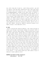 조선일보 장점과 단점-5