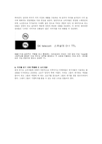 광고와 소비자 레포트-7