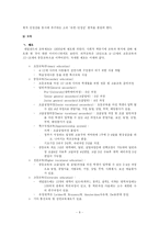 [유럽사회] 네덜란드 사회와 문화-9