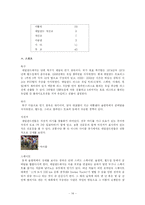 [유럽사회] 네덜란드 사회와 문화-15