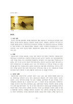 [유럽사회] 네덜란드 사회와 문화-16