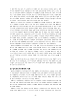 [정치] 인종차별에 대한 투쟁-남아프리카공화국을 중심-5