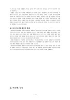 [정치] 인종차별에 대한 투쟁-남아프리카공화국을 중심-6