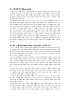 [정치] 인종차별에 대한 투쟁-남아프리카공화국을 중심-7