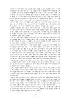 [정치] 인종차별에 대한 투쟁-남아프리카공화국을 중심-8