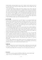 [정치] 인종차별에 대한 투쟁-남아프리카공화국을 중심-10
