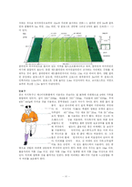 [예체능]럭비 레포트-11