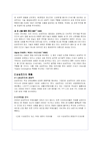 삼성전자의 성공 기업경영 분석-소니와의 비교-5