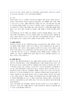 삼성전자의 성공 기업경영 분석-소니와의 비교-13