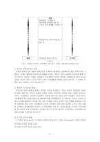 [교육경영] 조직론-19