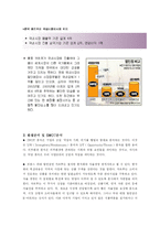 [유통] 카르푸의 문제점과 개선방안-2