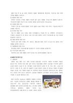 [유통] 카르푸의 문제점과 개선방안-5