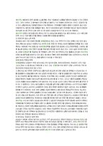 [유통] 카르푸의 문제점과 개선방안-13