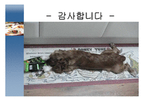 [마케팅사례] 롯데 검은콩이 들어있는 우유 마케팅-13