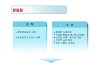 [유통전략] 월마트 유통시스템 분석-19