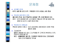 [유통관리] 갤러리아백화점 유통시스템 분석 사례-15
