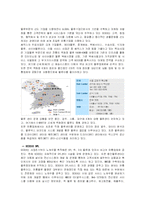 [유통전략] 신세계백화점 유통시스템 분석-15