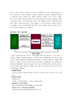 [유통전략] 옥션 유통시스템 분석-10